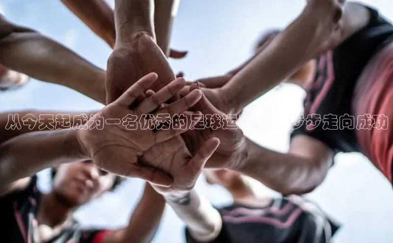 中欧体育官方网站链接宇信科技