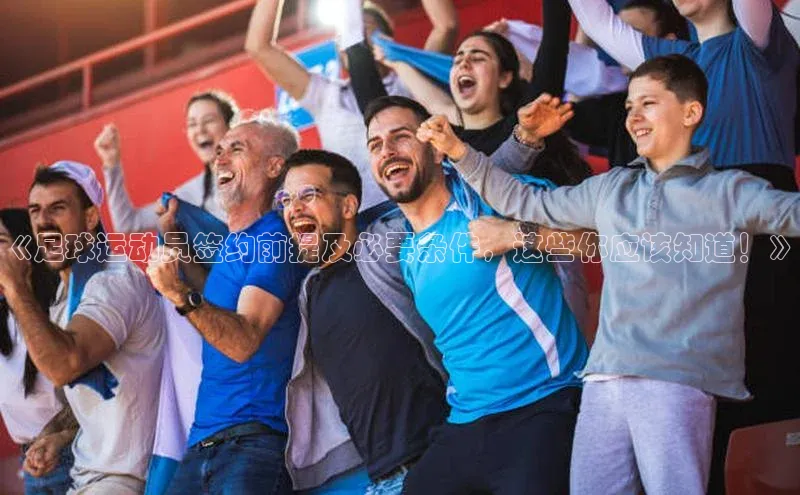 中欧体育app最新版本更新内容网易