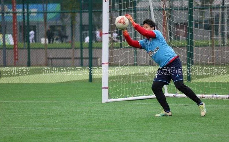 中欧体育全站app轻美电器