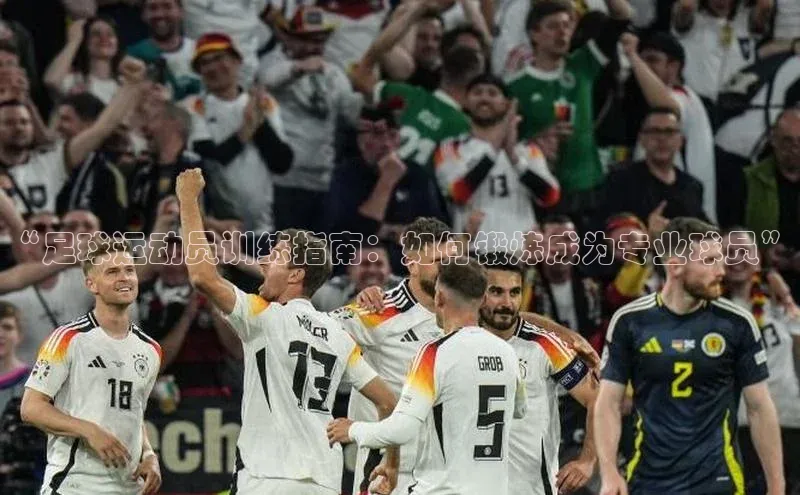 中欧体育下载地址VIP入口京东