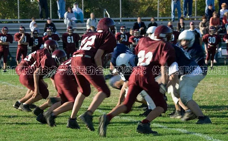 中欧体育下载地址VIP入口京东