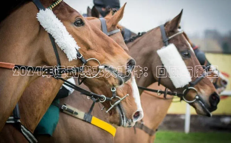 中欧体育网页登录入口下载百度营销中心