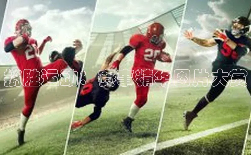 zoty中欧体育平台官网