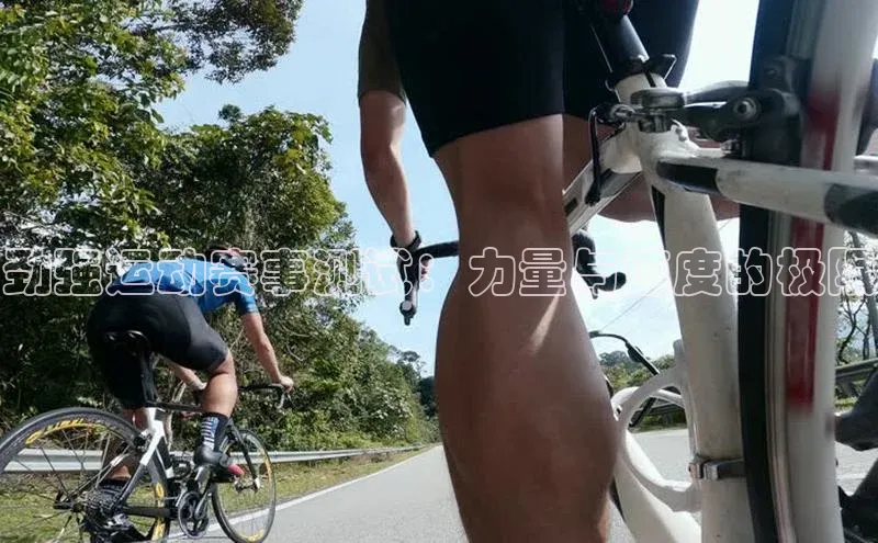 中欧体育最新地址