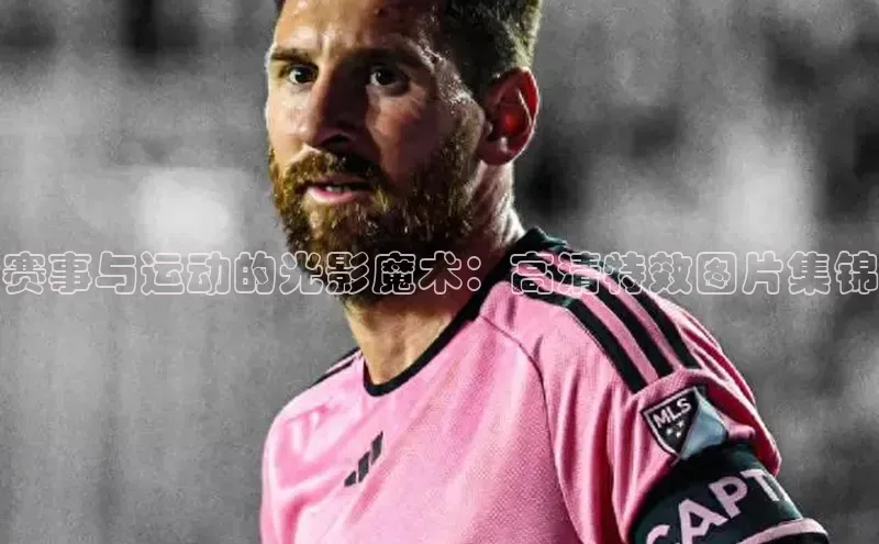 中欧体育app官方网站