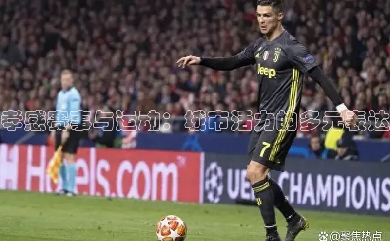 zyty中欧体育平台