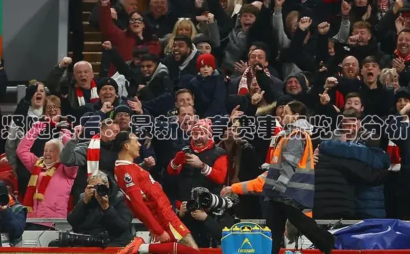 中欧app下载官网最新版