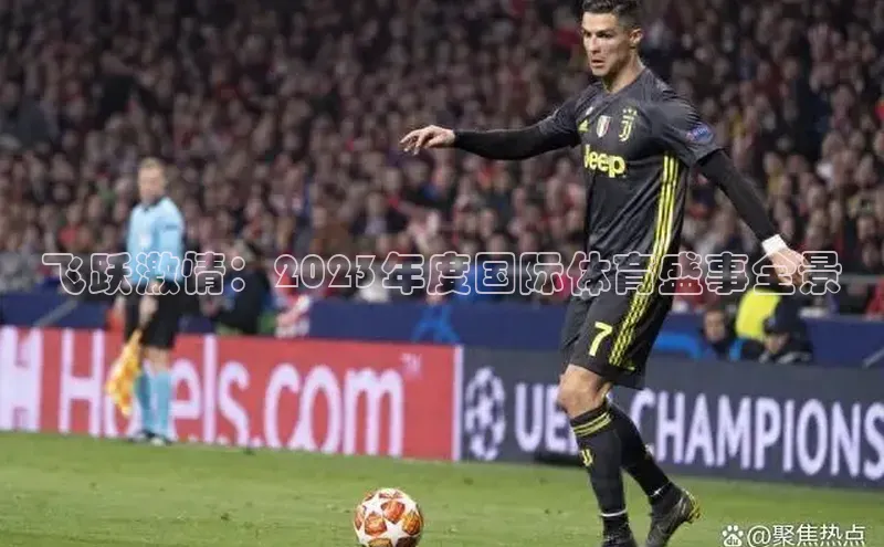 中欧app登录入口手机版