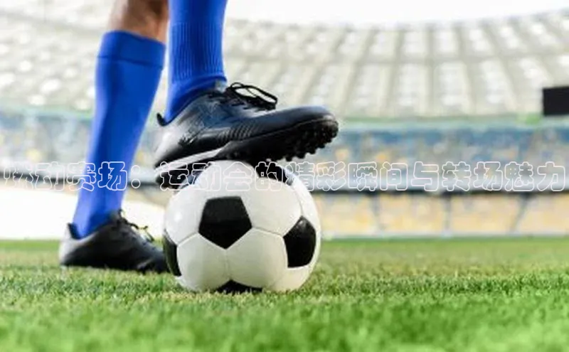 中欧体育app官方网站