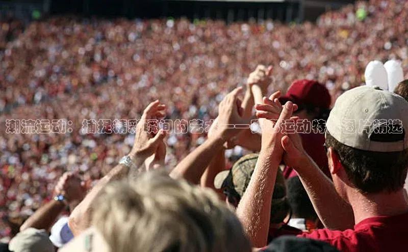 中欧体育下载地址VIP入口