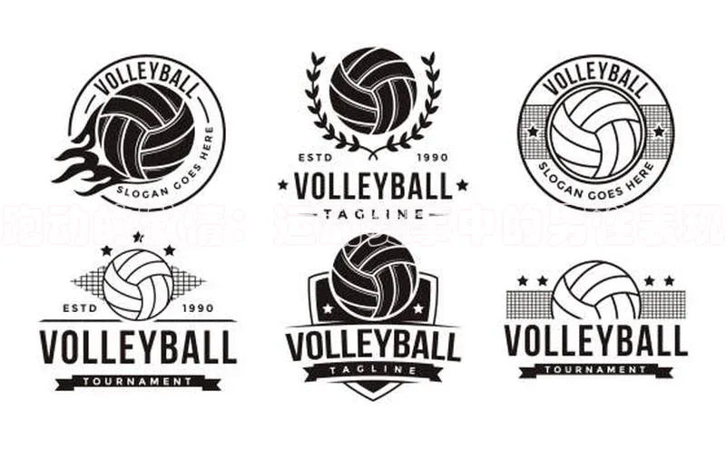 zoty中欧体育平台官网