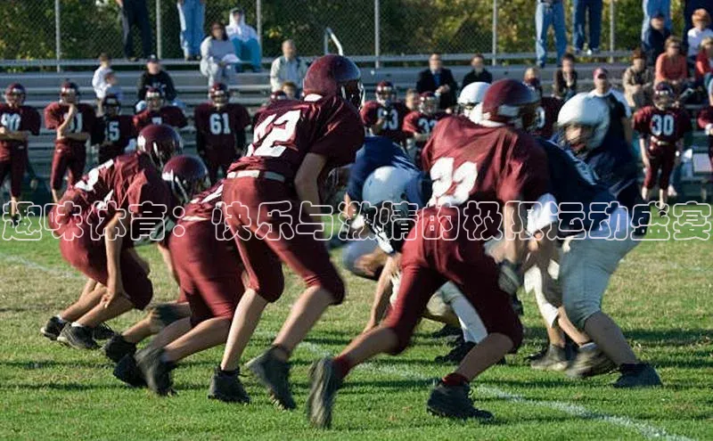 zoty官网登录入口手机版