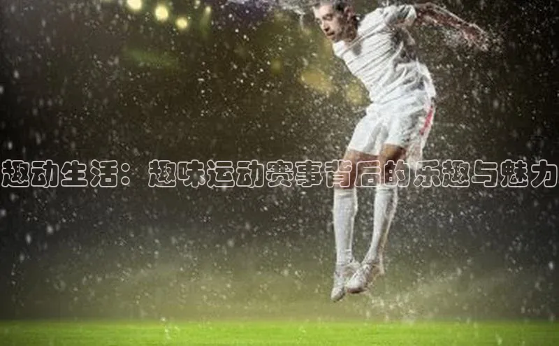 中欧体育官方网站链接