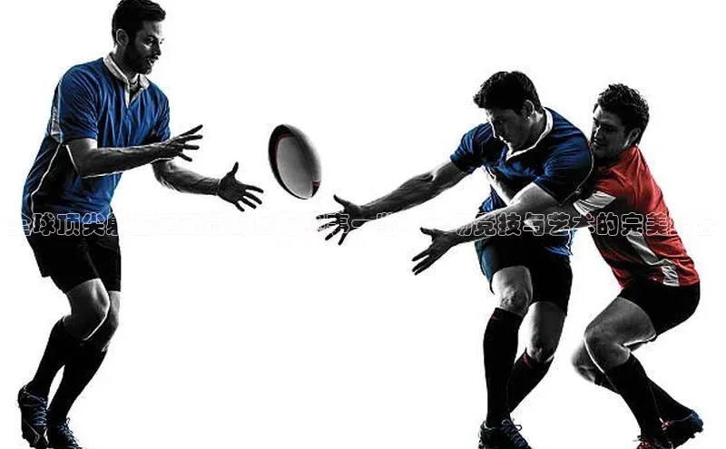 中欧体育app最新版本更新内容