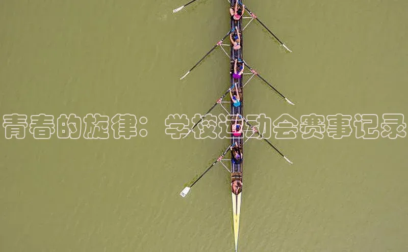 中欧体育官方平台入口下载