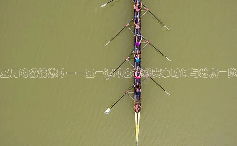 中欧体育官方平台入口网址