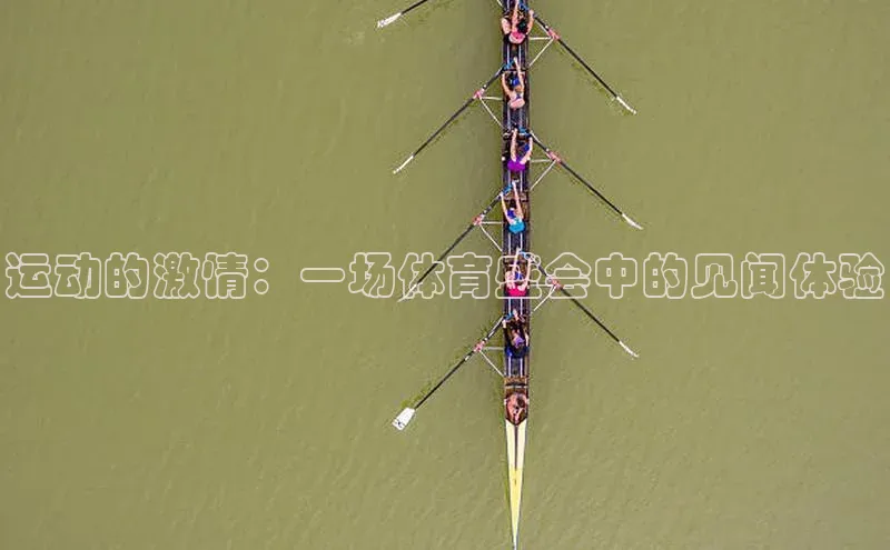 中欧体育官方平台入口