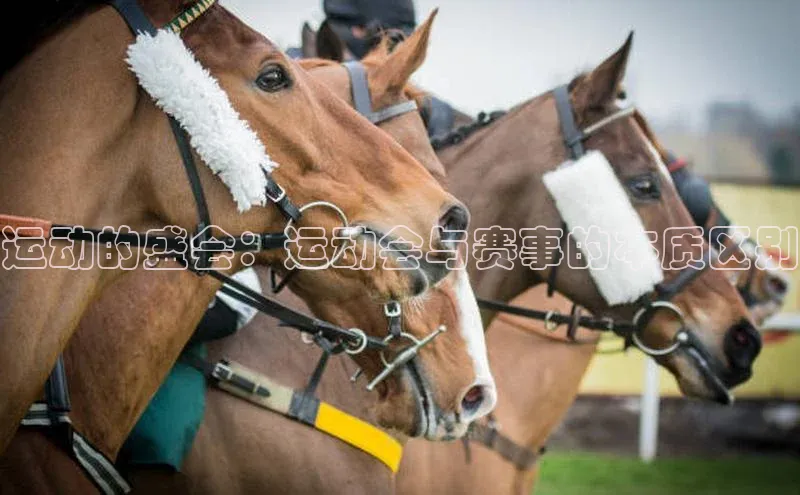 中欧体育app下载安装