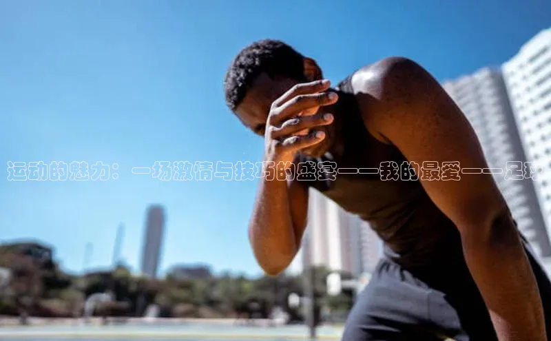 中欧app下载官网最新版