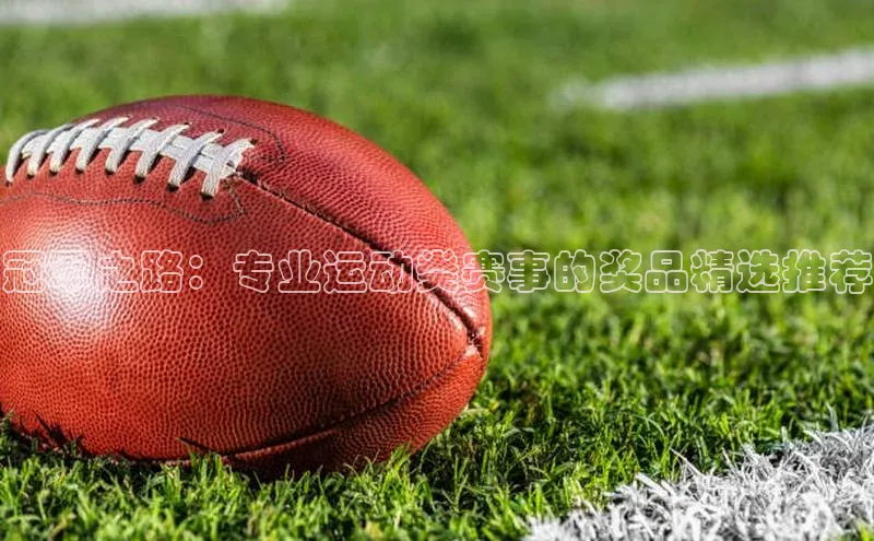 zoty官网登录入口手机版