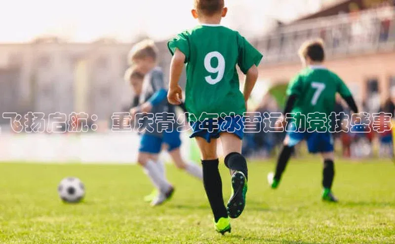 中欧体育网页登录入口下载