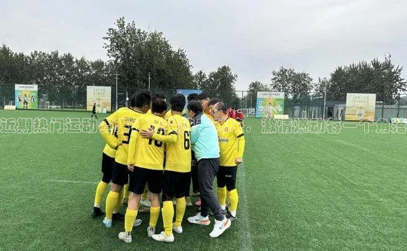 中欧体育